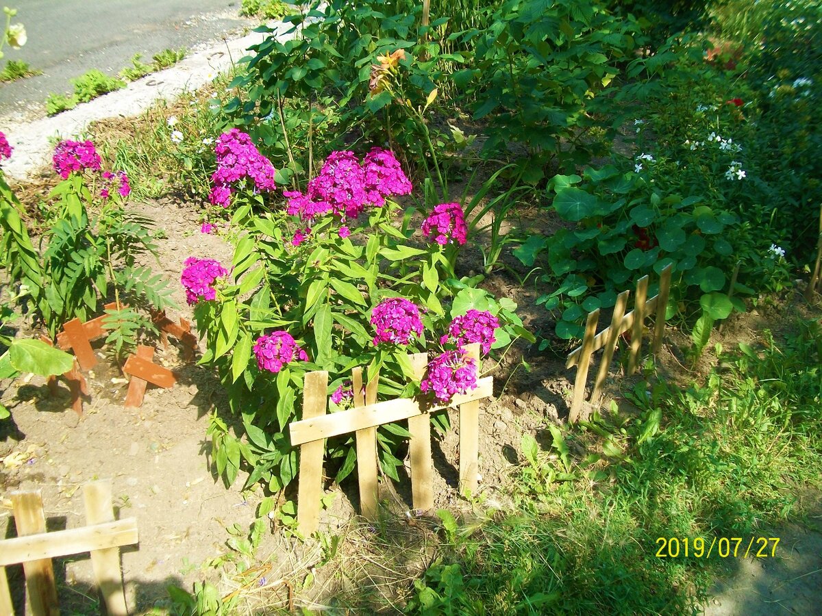 Небольшой уголок сада, который растёт вдоль всего двора