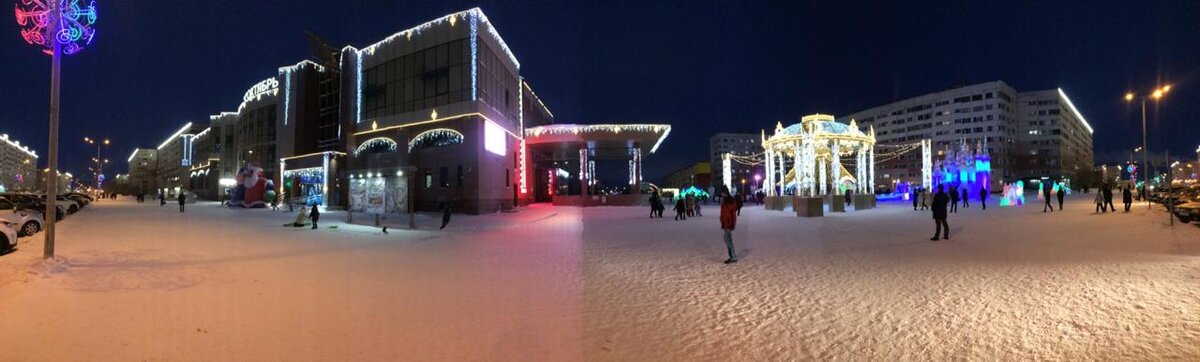 Центральная ёлка