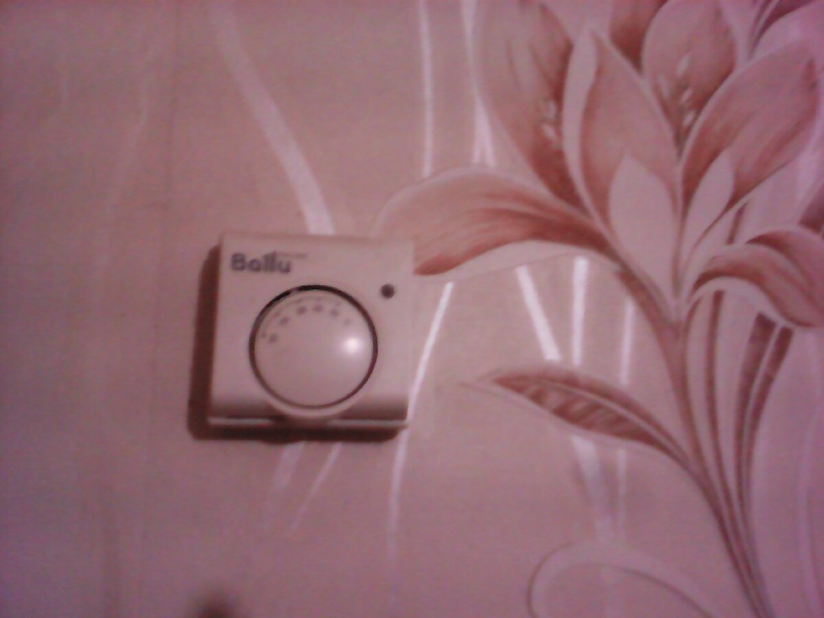 фото из личного архива