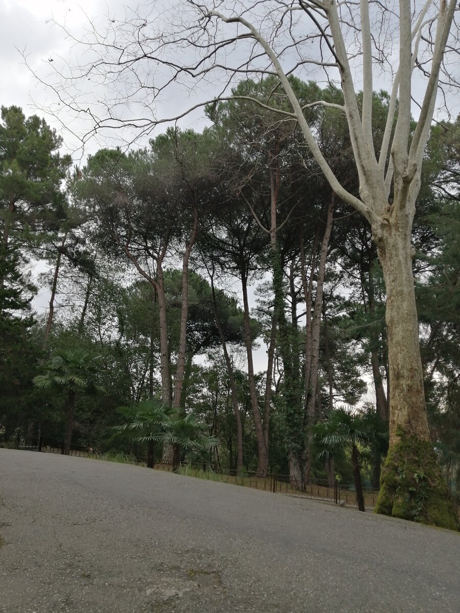 оцените крутость горы. 