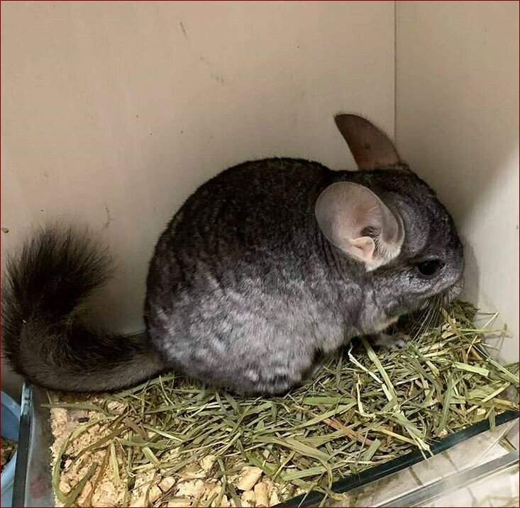 Источник: Instagram.com