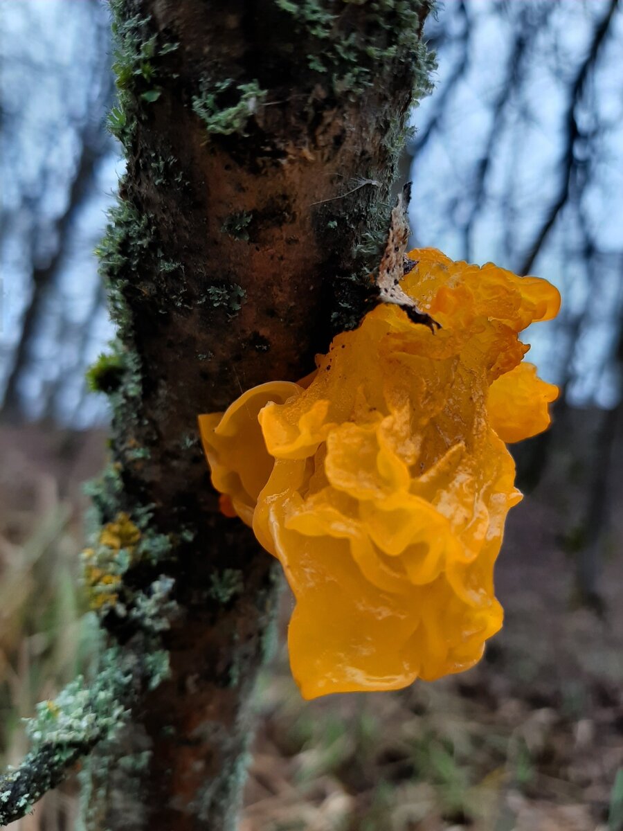 Притягивает