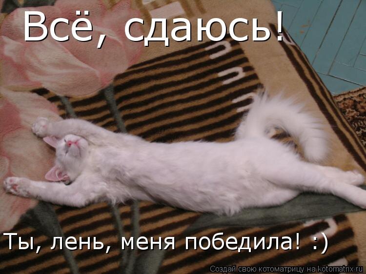 Фотожаба - kotomatrix.ru
