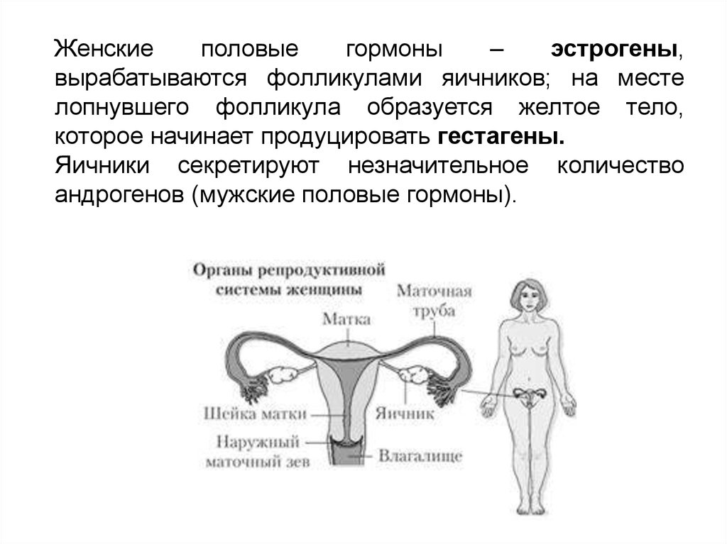 Наглядно для примера. Фото гугл.картинки