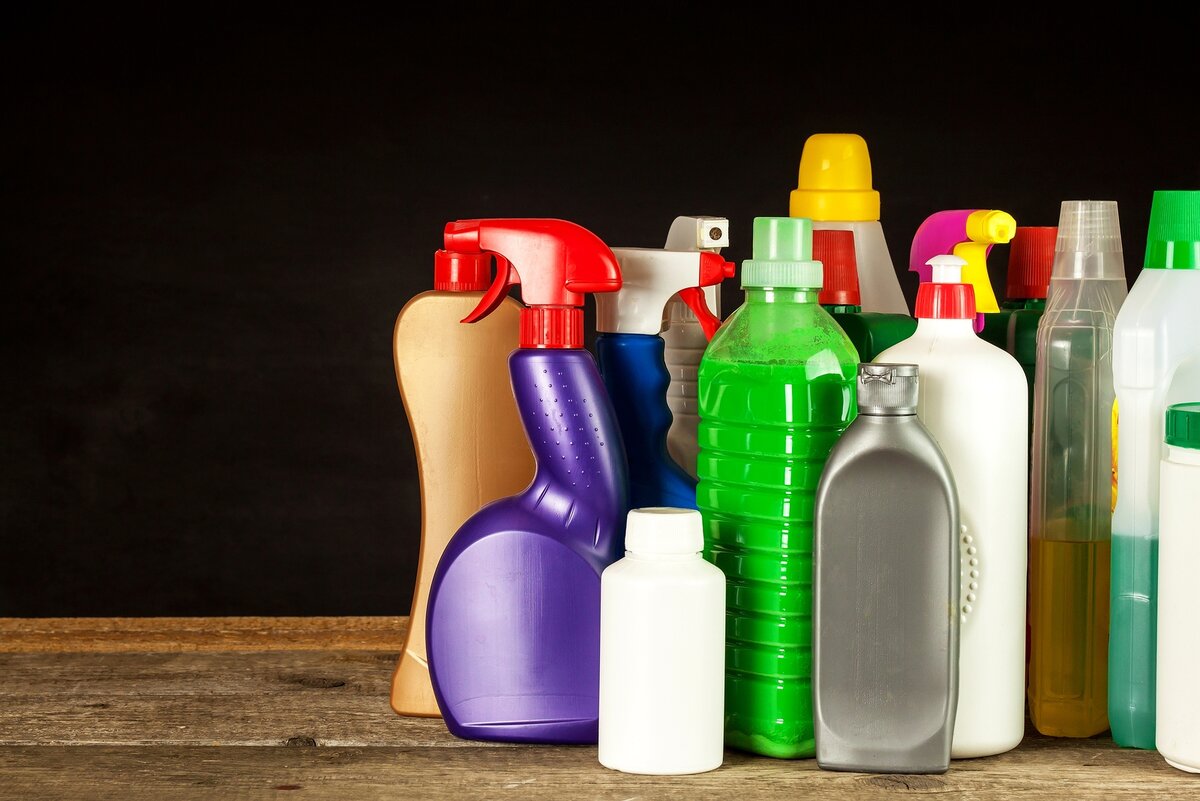 Фотография взята с сайта latterdaysaintmag.com