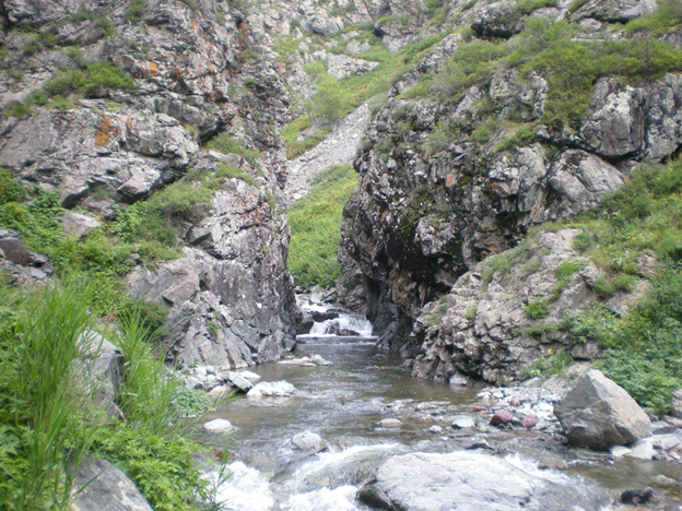 Казахстан урджар
