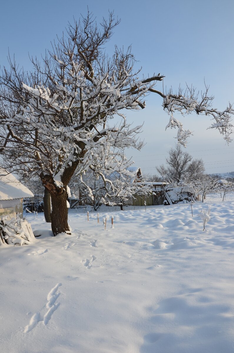 Фото от автора.