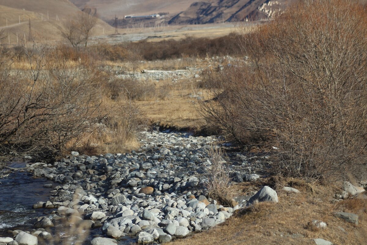 © МИР В ОБЪЕКТИВЕ/ СЕ ЧЕЛОВЕК