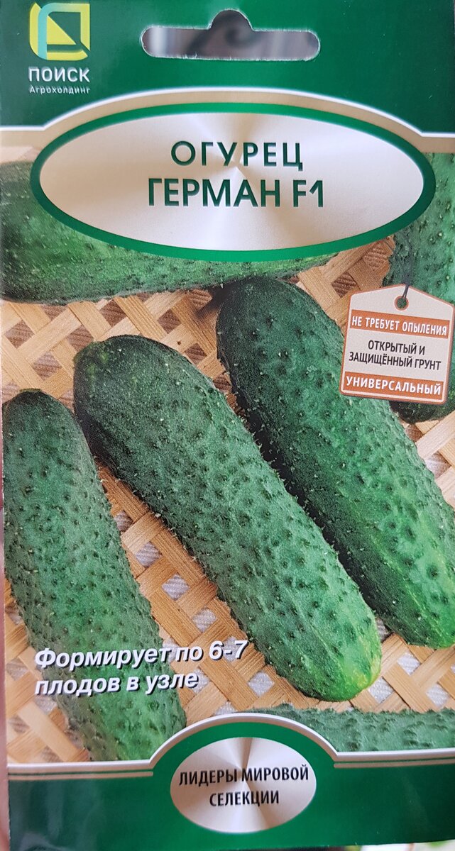 Огурцы, которые не подведут. Купила огурцы по совету читателей ...
