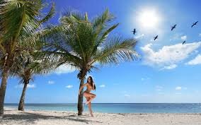 Фото в свободном доступе из интернета