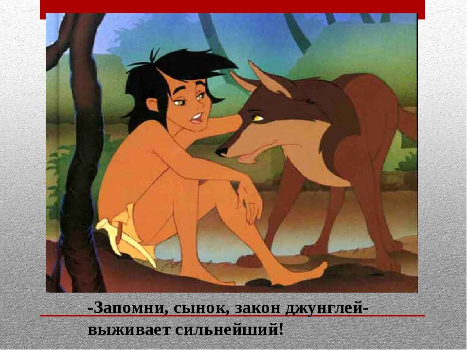Мультфильм «Маугли»