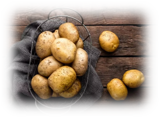 улучшает процесс сжигания жира, и улучшает обмен веществ