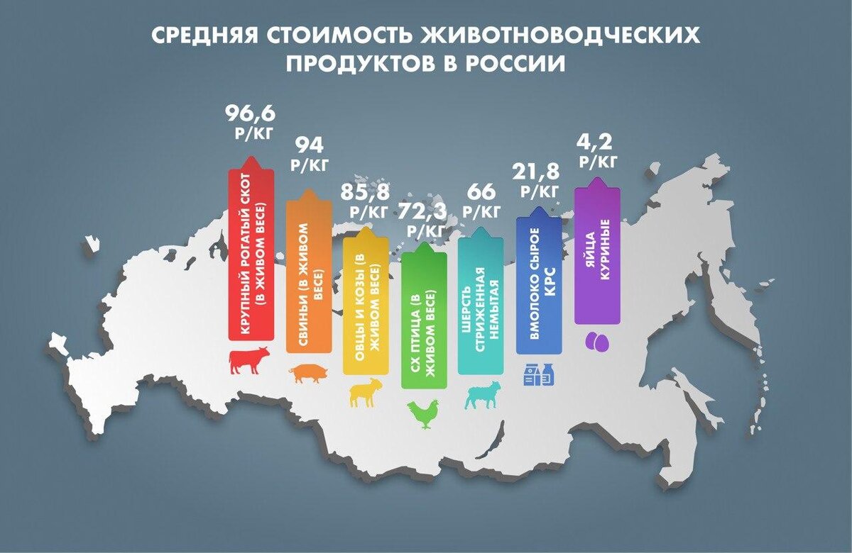 Статистика фермерских хозяйств. Фермер статистика. Цель государственной поддержки сельского хозяйства. Отчет фермер 1. Форма 2-фермер 2021.