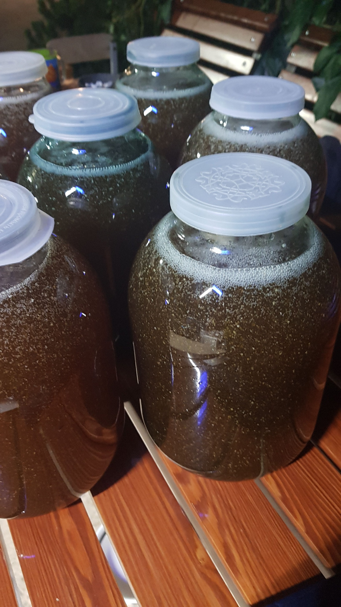 Мед с первой качки.