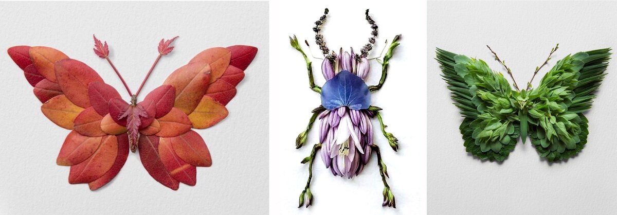 Насекомые, созданные из растений