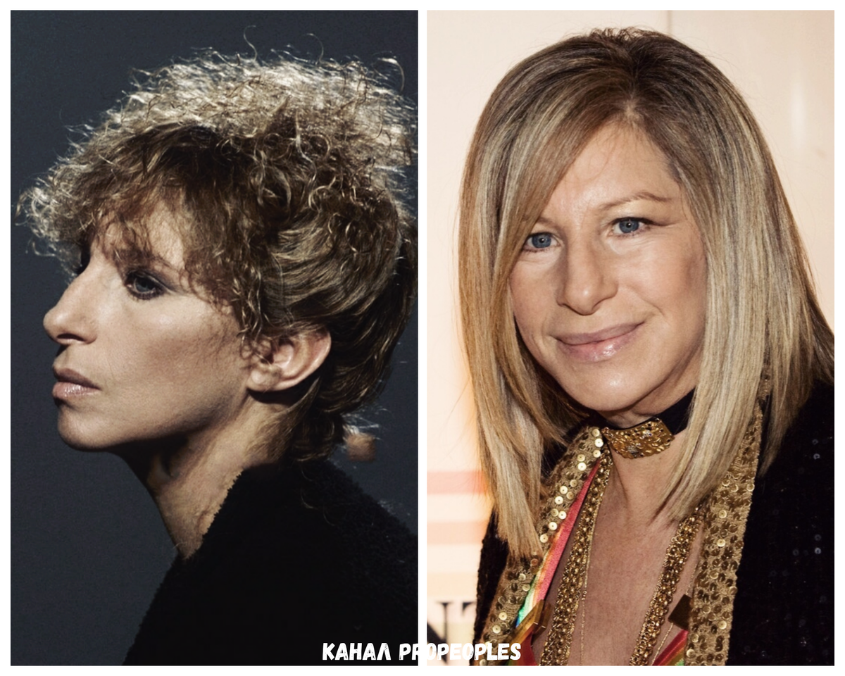 Талантливая и успешная Барбара . Коллаж автора.