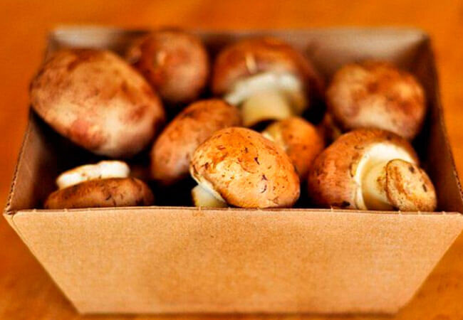 Как хранить шампиньоны свежие в холодильнике