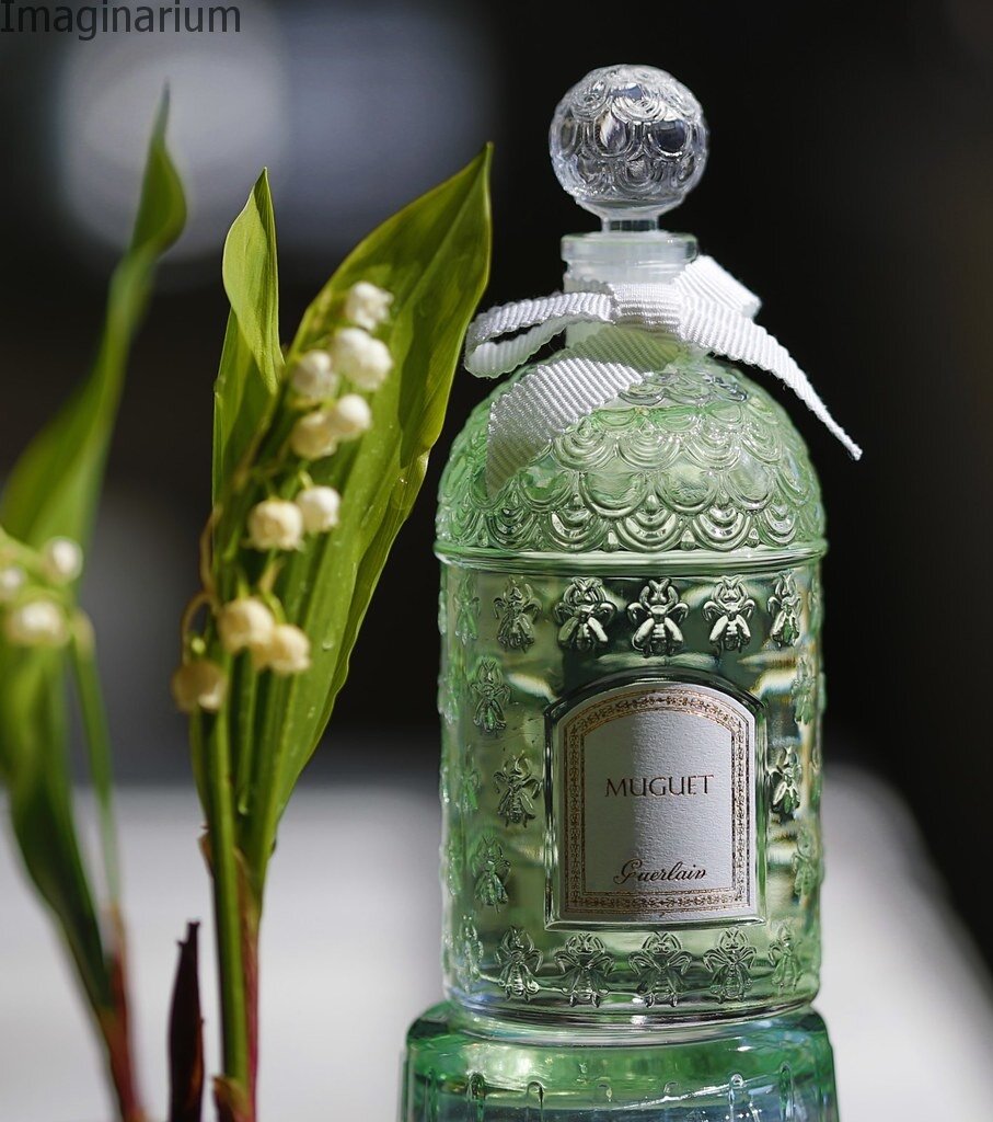 Muguet Guerlain - роскошный ландыш. История создания от первого выпуска до  современных вариантов | Imaginarium | Дзен