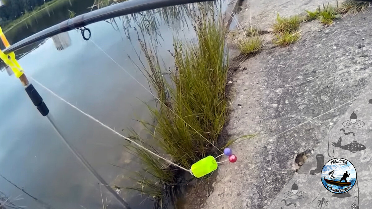 Сигнализатор в работе