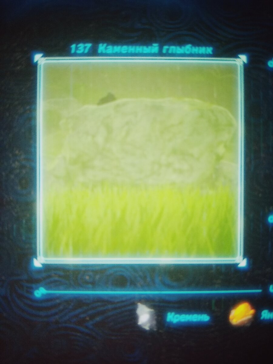 Каменный Глыбник (Личный источник)