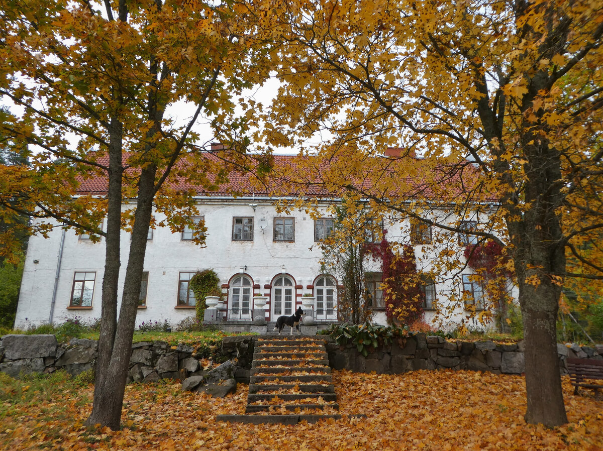 Усадебный дом