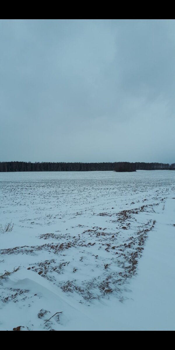 Красивый зимний пейзаж