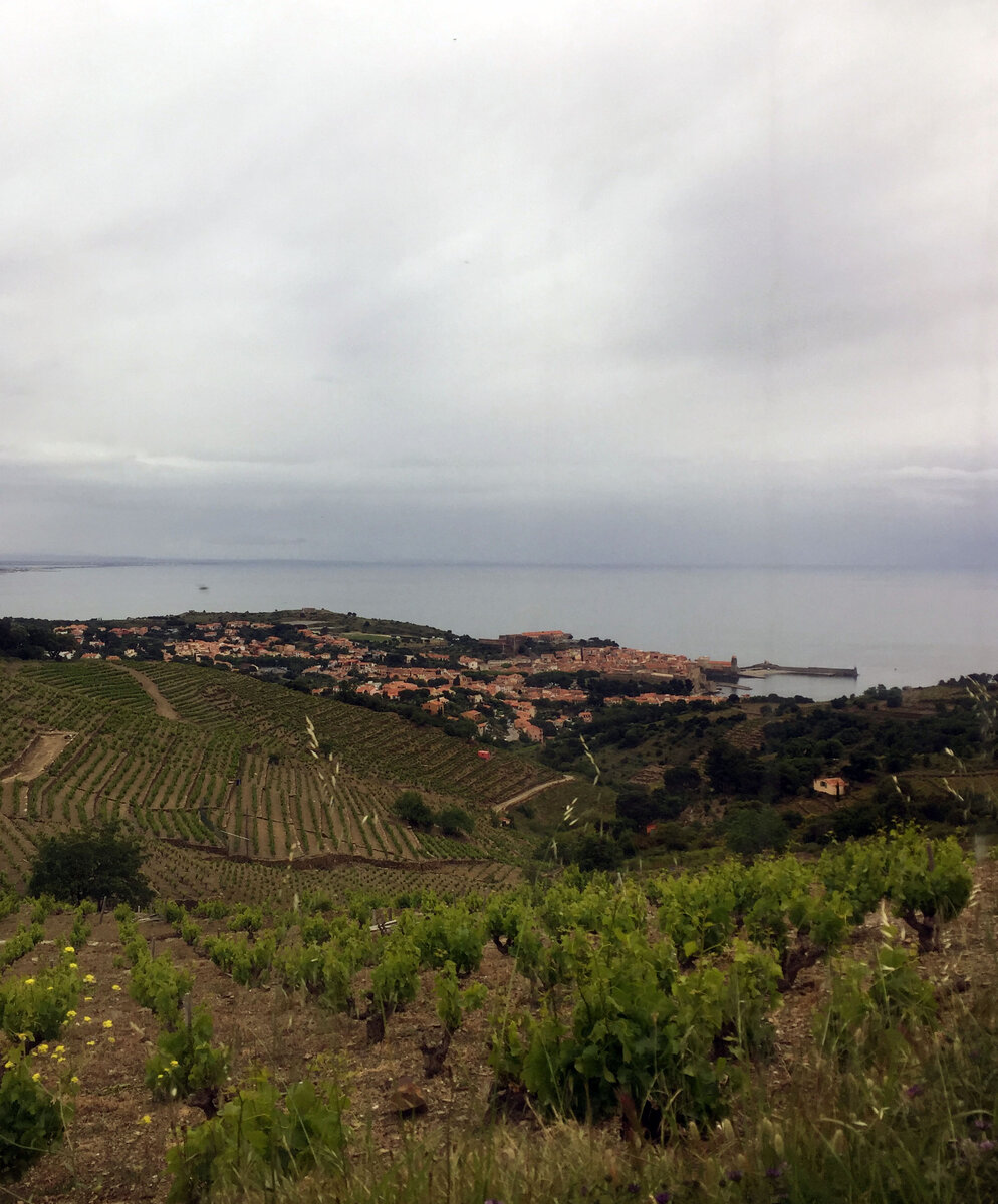 Виноградники Франции