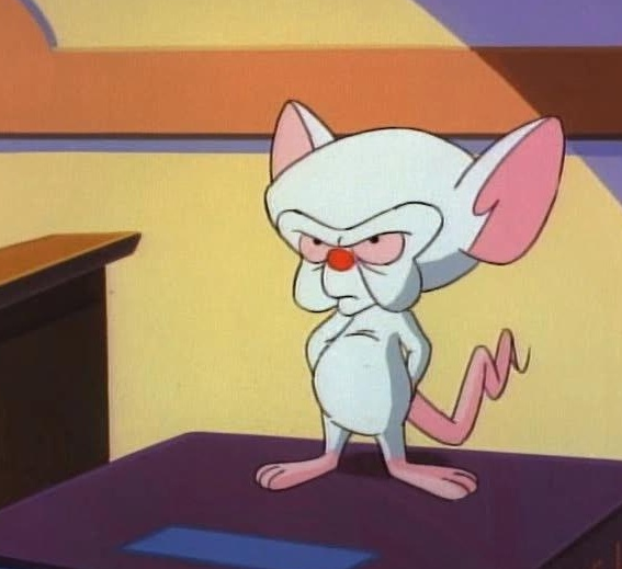 Пинки и брейн пинки. Пинки из пинки и брейн. Мышонок брейн и пинки. Пинки и брейн. Пинки и брейн пинки.