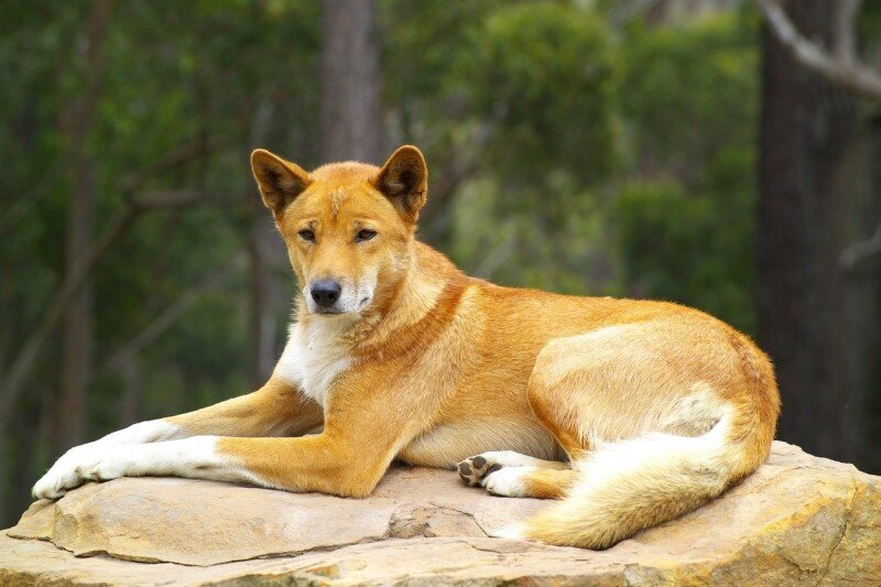 Поел, можно и отдохнуть.