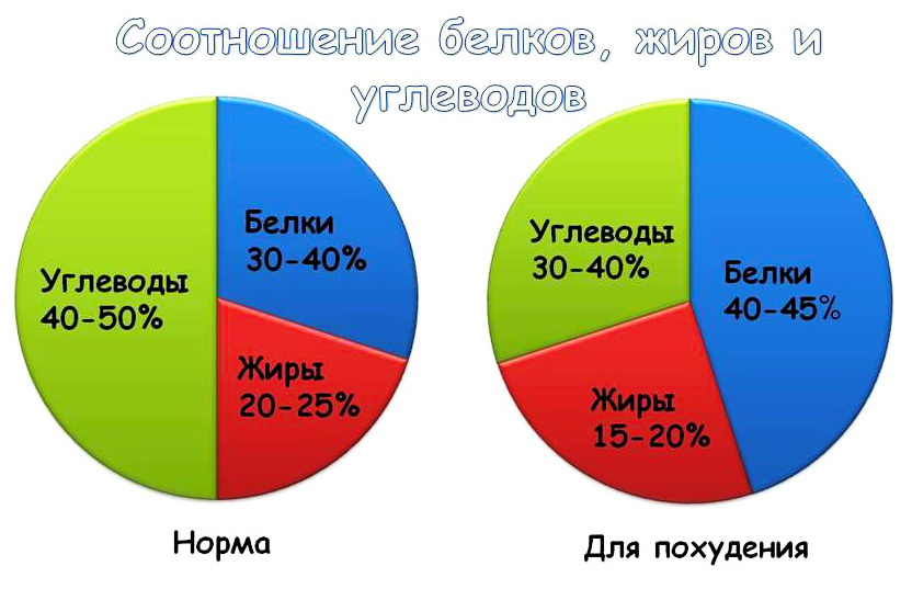 Белки жиры и углеводы проценты