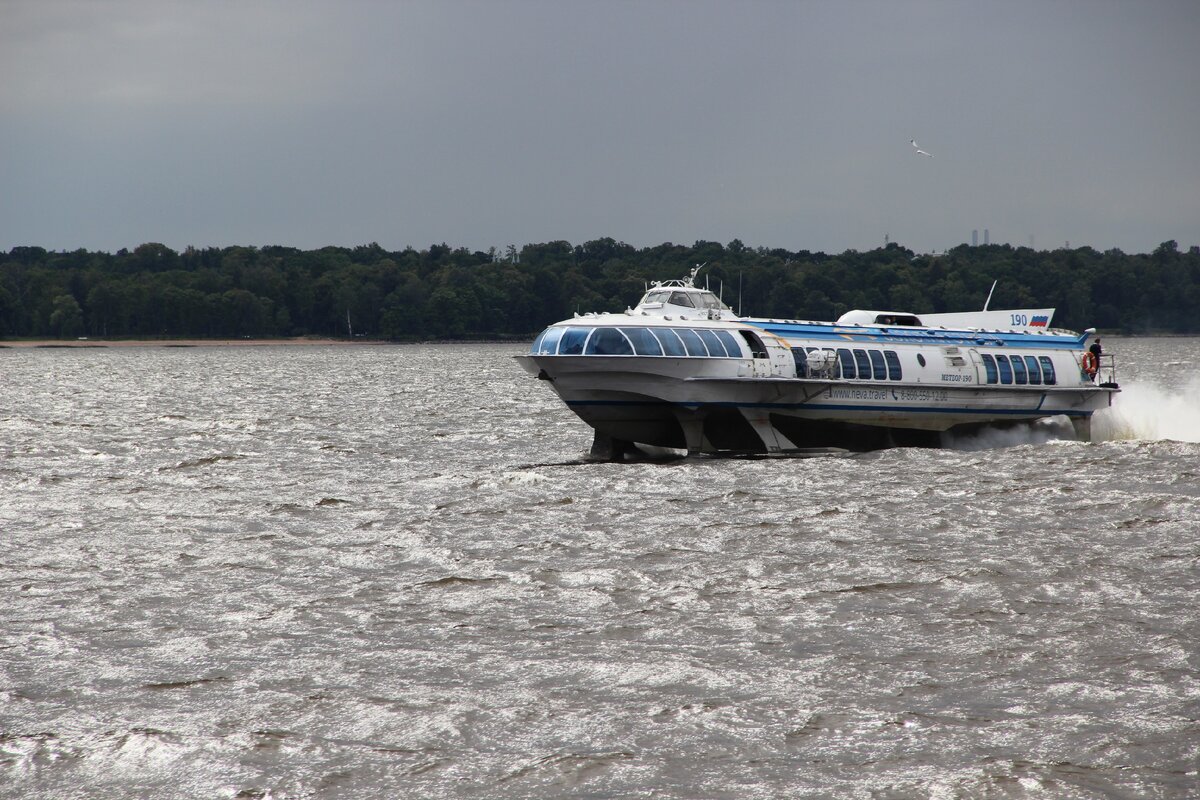 Метеор несётся из Петергофа в Петербург