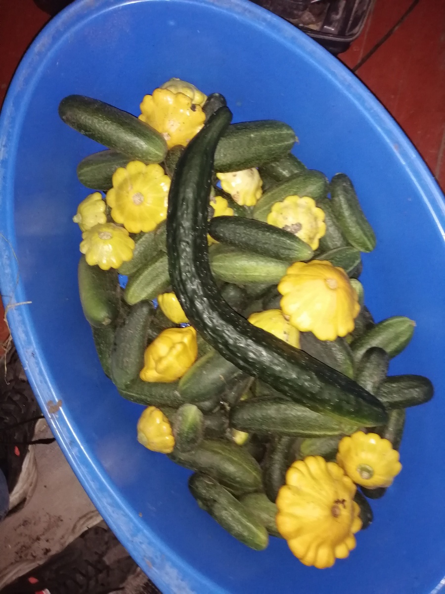 Вот так вот... 