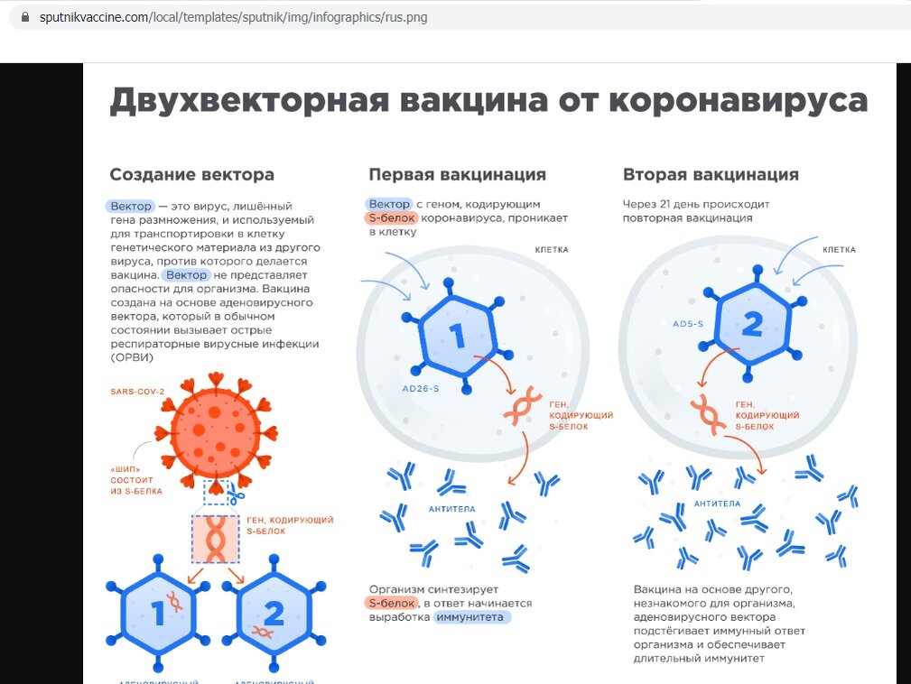 Скриншот с официального сайта вакцины
