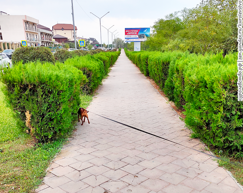 Начало пути