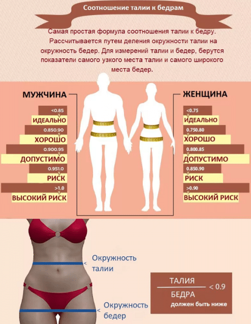 тонкая талия и широкие бедра упражнения — 25 рекомендаций на irhidey.ru