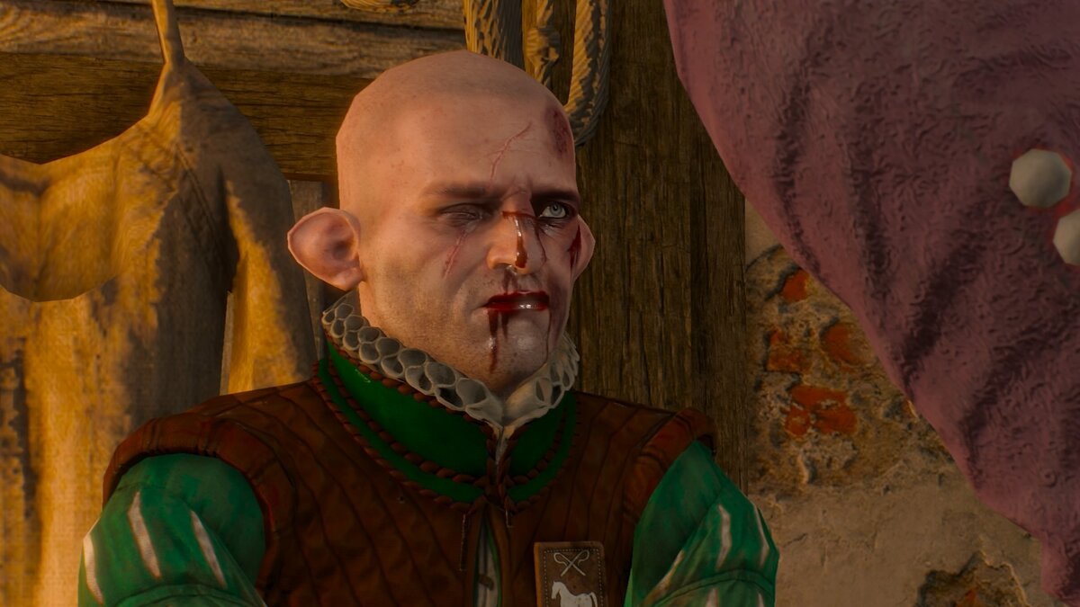 Geralt doppler at the witcher 3 фото 14