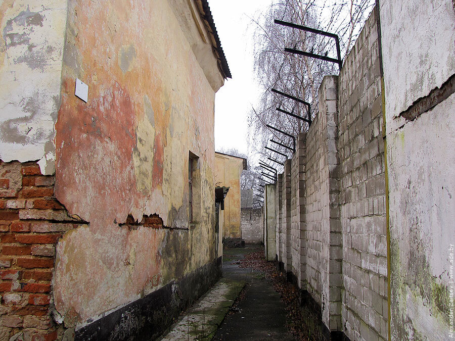 Взято из Яндекс картинок