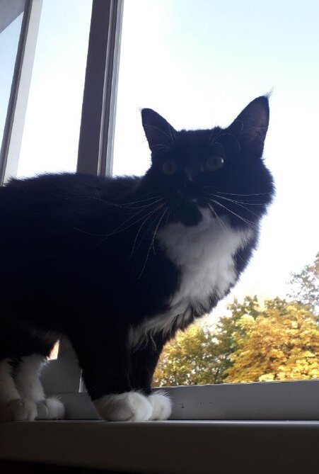 Ветер жить не может без свежего воздуха и наблюдения за птичками...