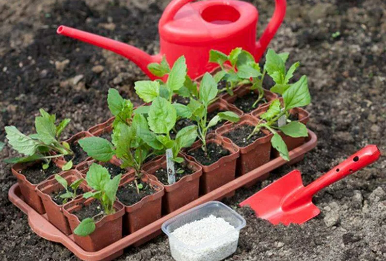 Место для посадки должно быть хорошо освещено!