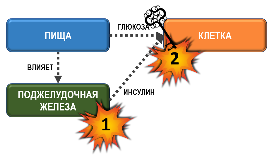 анализы для диабета выявления. глюкоза 500 мг фармстандарт. глюкоза в моче 5. ольга павлова эндокринолог. анализ крови при сахарном диабете 1 типа.