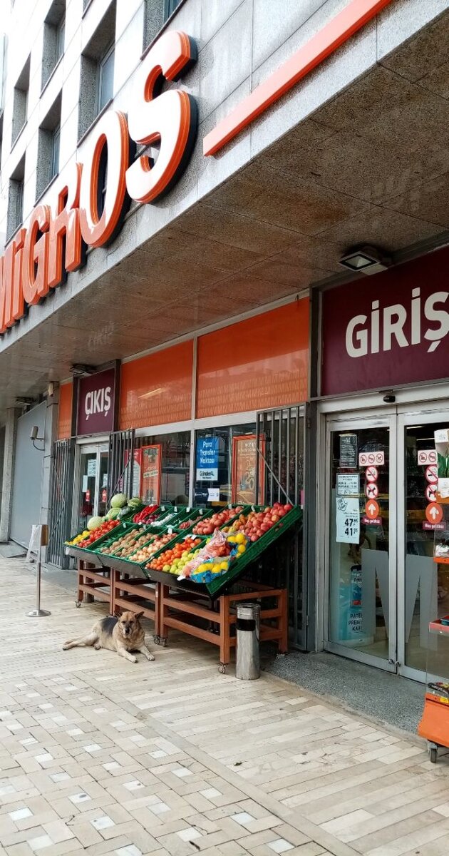 Фото из личного архива