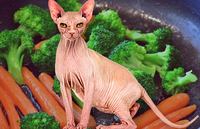 Исходные изображения из сети Интернет, обработка автора