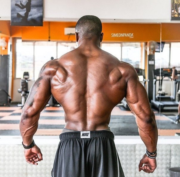 Фото взято из открытых источников