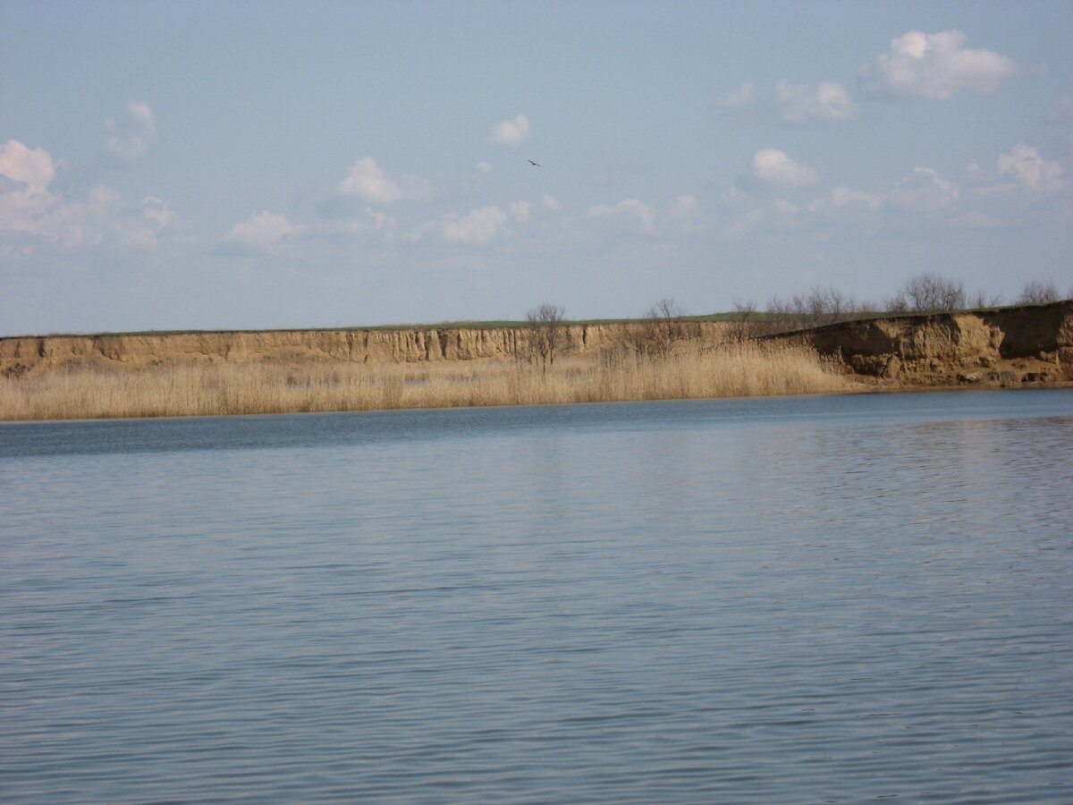 Река Маныч
