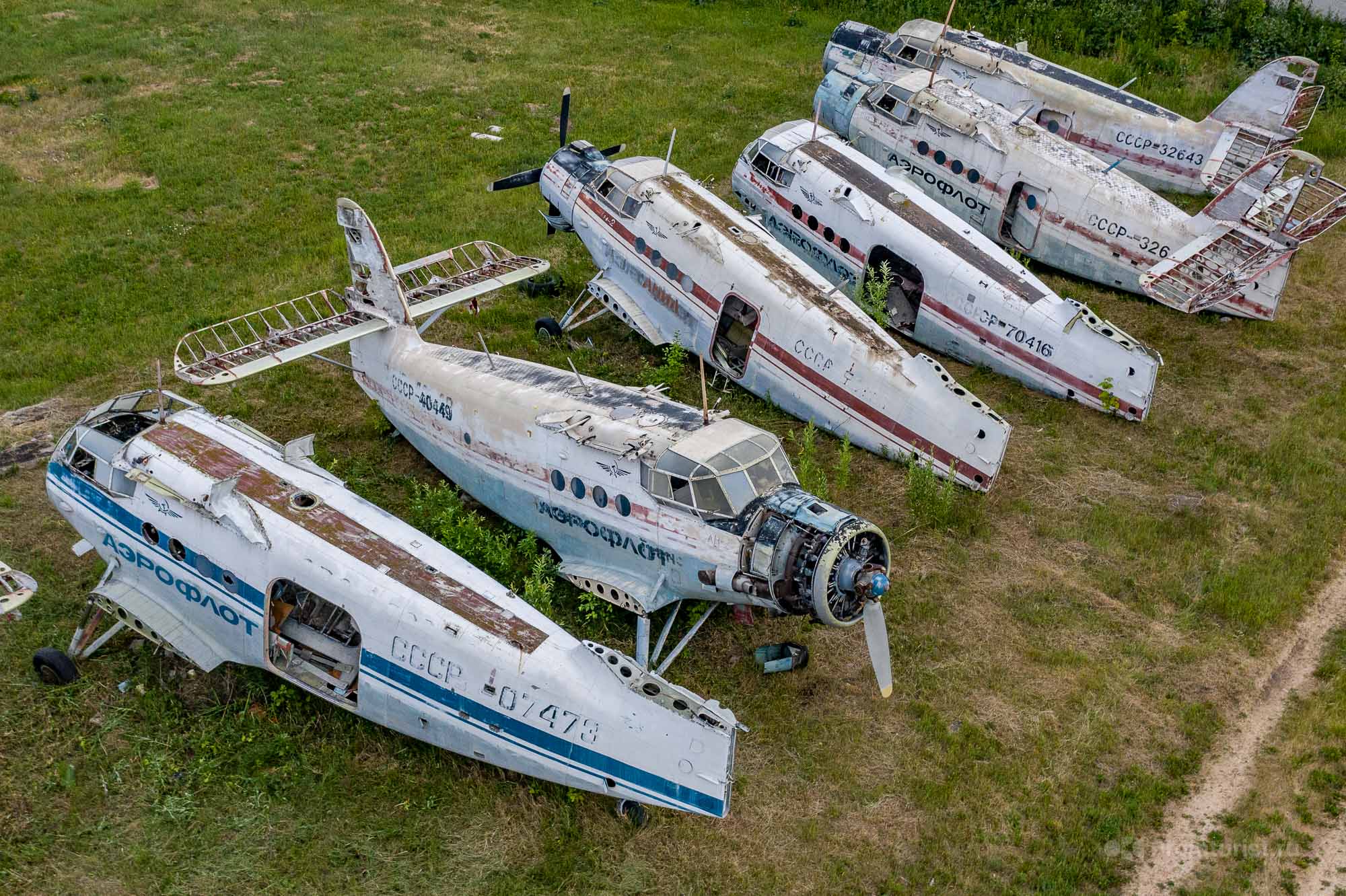 Нашёл за гаражами аккуратное кладбище самолётов Ан-2. Красиво конечно, но много вопросов ✈️⚰️?5