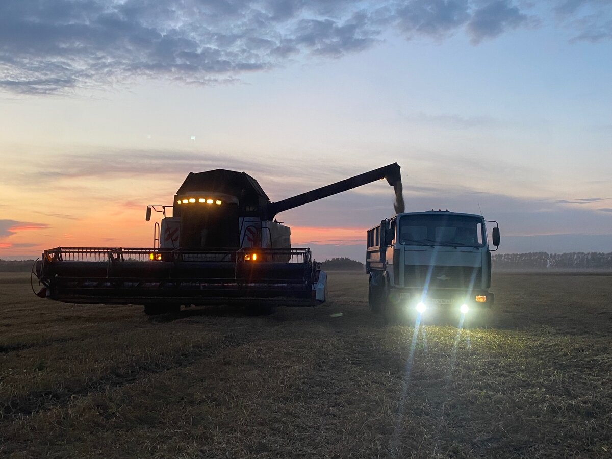 Выгрузка зернового бункера комбайном Ростсельмаш в КФХ "Соколов". Фото: glavpahar.ru.