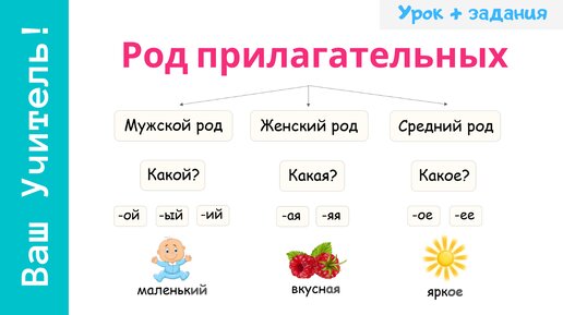 Род имен прилагательных. Как определить род прилагательного?