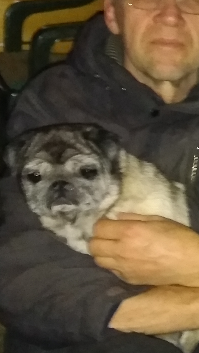 Фото автора. Иных уж нет, а те далече...