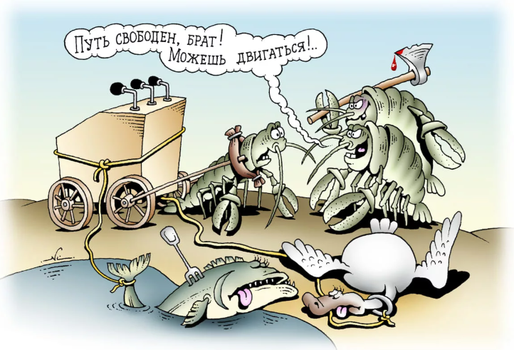 Добавьте описание