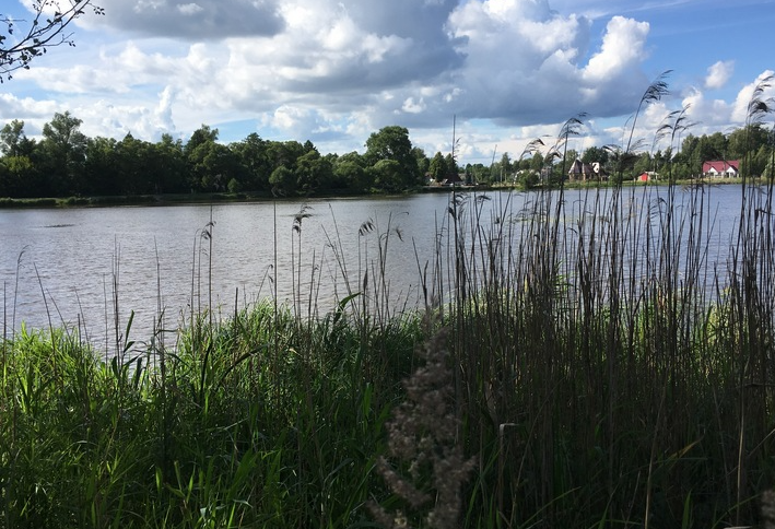 Добавьте описание